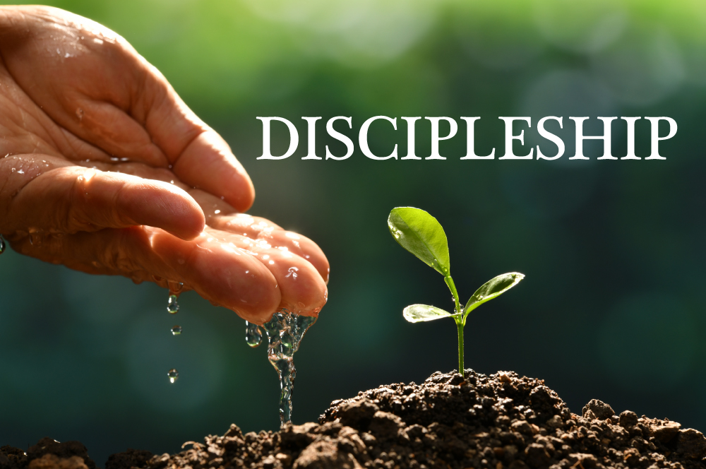 Discipleship Hand-Water-Plant